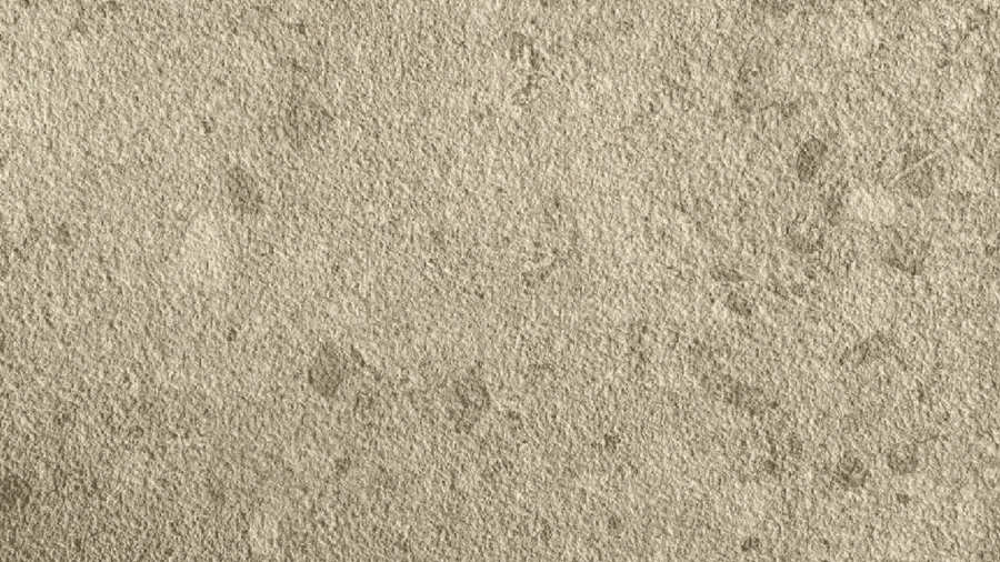 Bro Beige