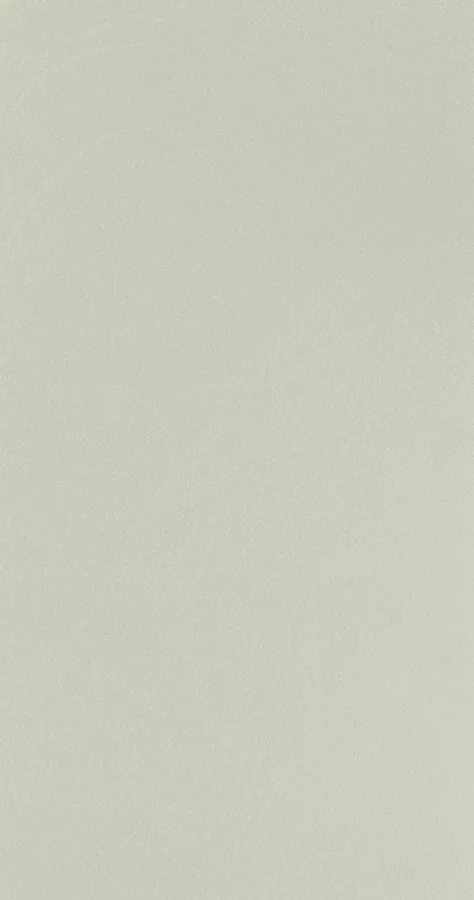 Beige 216