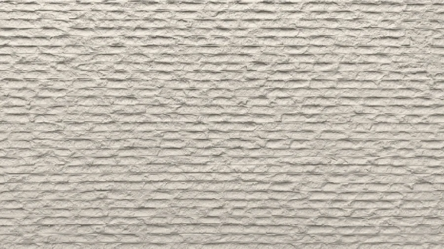 Light Beige 216