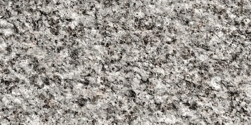 Black Sesame