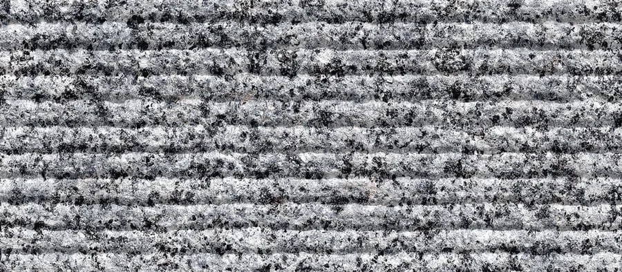 Black Sesame