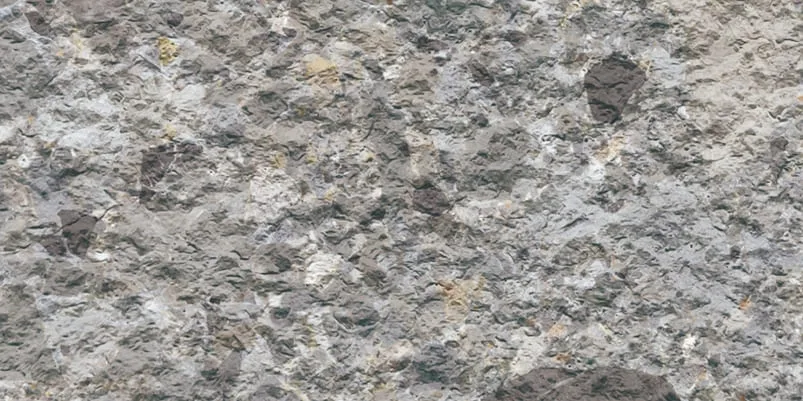 Бучарда · Денди серый